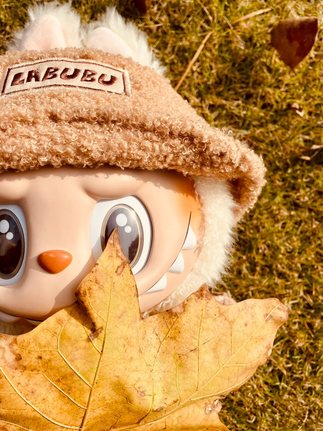 Dress belatte box （perorder）