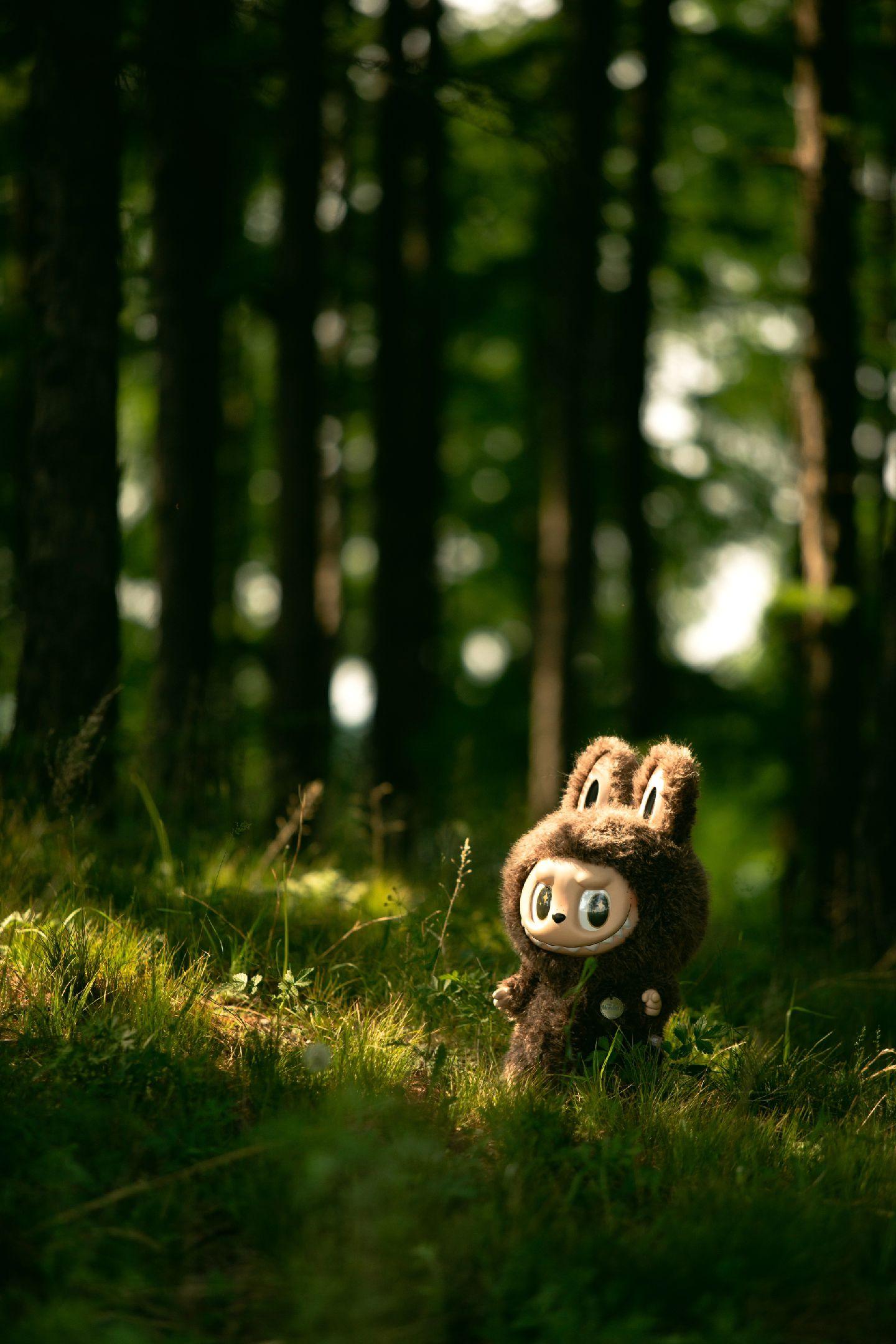 Zimomo! Only one ！